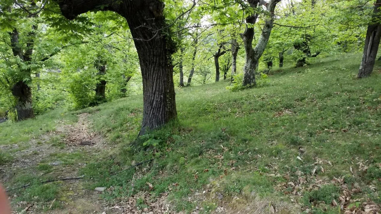 펜션 Sablieres La Fleur Du Mas 빌라 프랑스